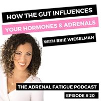 Adrenal Fatigue Podcast